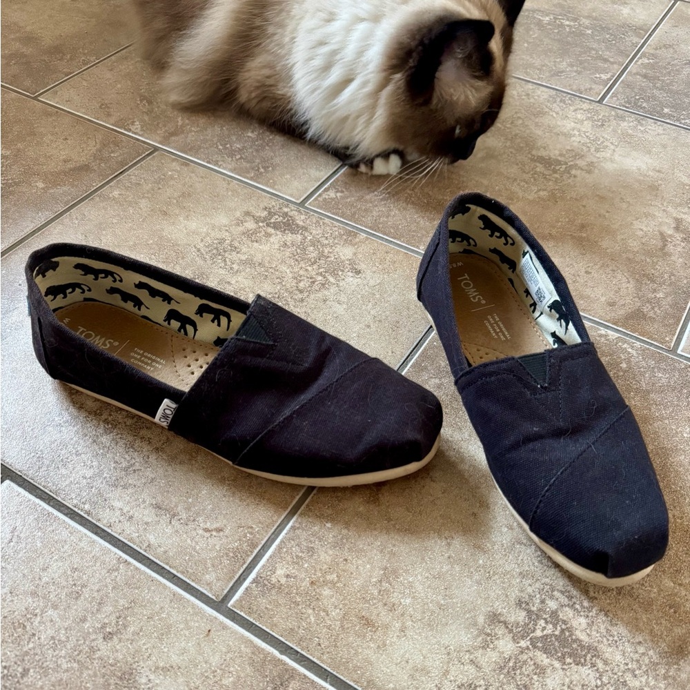 TOMS